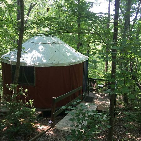 داهلونغا Cedar House Inn & Yurts المظهر الخارجي الصورة