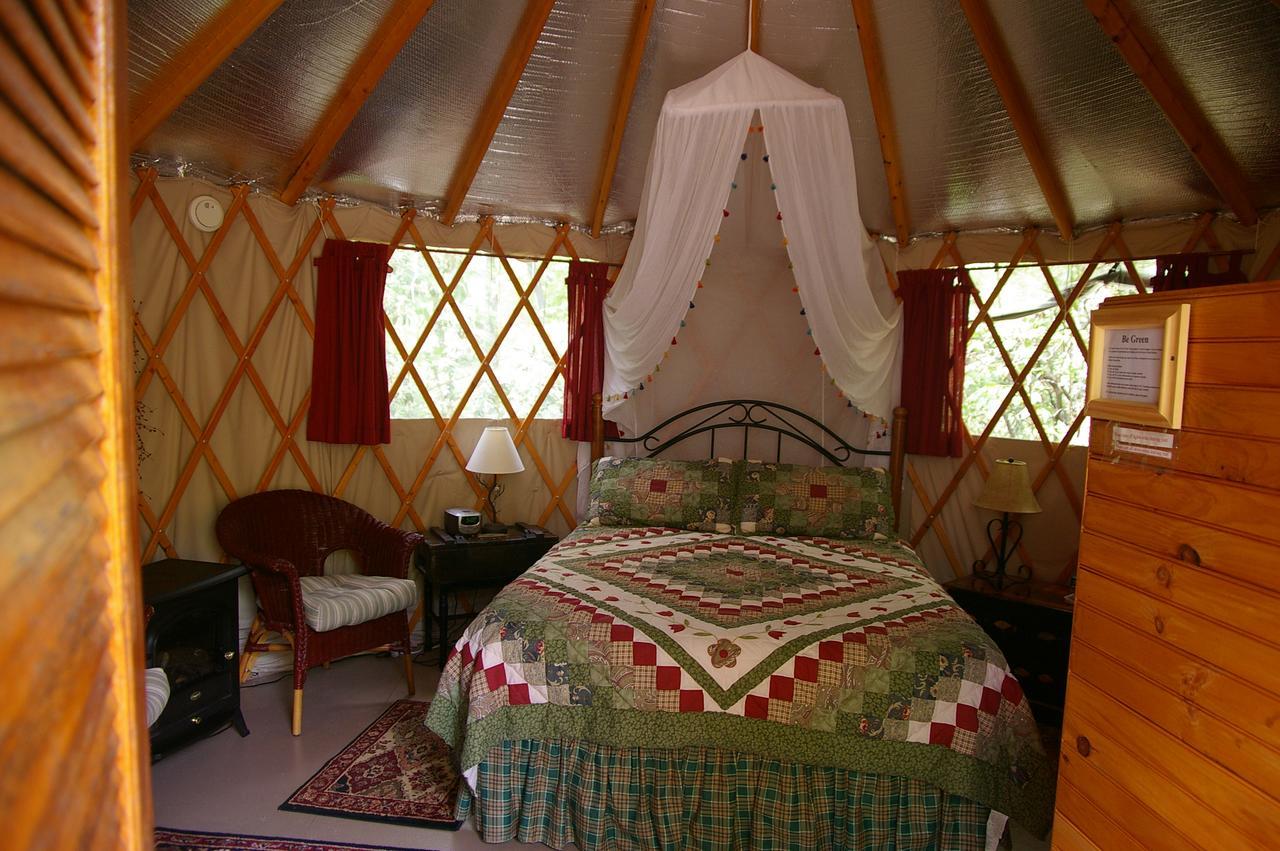 داهلونغا Cedar House Inn & Yurts المظهر الخارجي الصورة