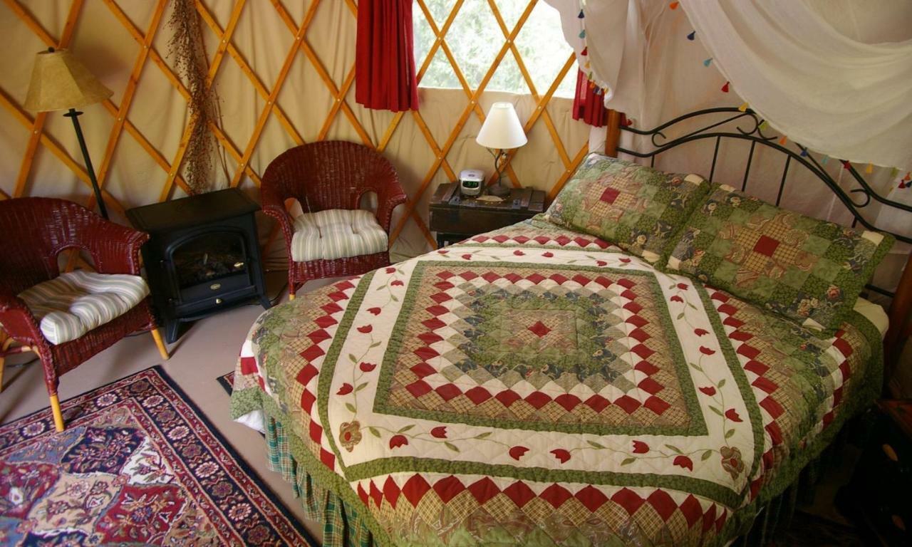 داهلونغا Cedar House Inn & Yurts المظهر الخارجي الصورة